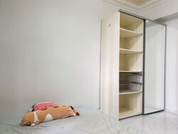 Compassvale Street (Sengkang),  #558745741